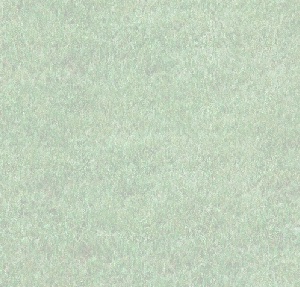 Caterpiller