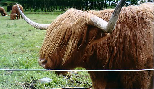get a haircut, hippie!
