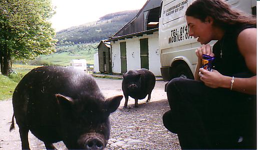 look, they're almost as big as pat! 