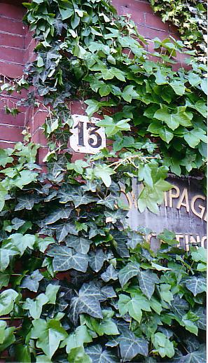 reminds me of nat'l lampoon's european vacation when they try to visit their relatives and go to the wrong address because it was hidden by ivy.