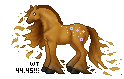 HI, I'm Aurora
