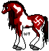 Hi, PP Nazi Identity