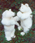 Polar Bears