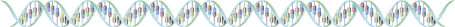 dna19.gif (9344 bytes)
