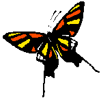 Butrfly2.wmf (6684 bytes)