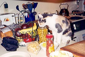 Angel eating olives