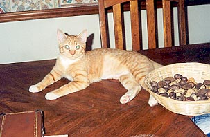Gabrielle on the table