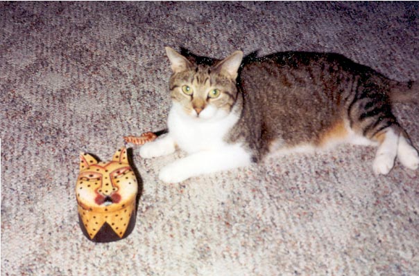 Kitty showing her appreciation for art