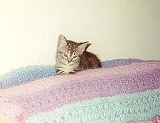 K.C. looking sweet