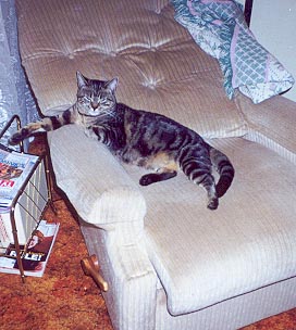 Lulu