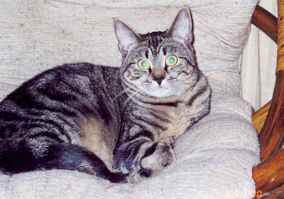 Lulu