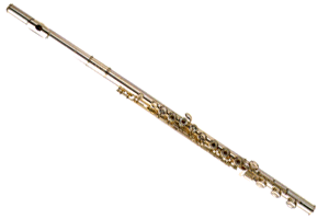 my flute