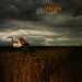 A Broken Frame 1982