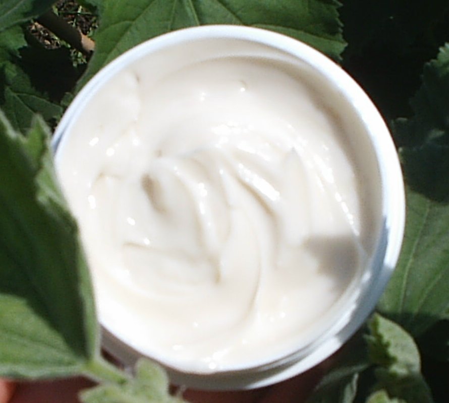 An example of my handmade skin creams: organic lavender and fennel moisturiser