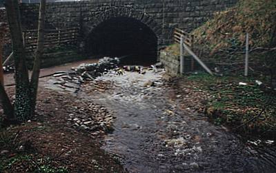 Bridge at Aviemore: click to buy cards, paper or canvas prints of this image from Imagekind.com!
