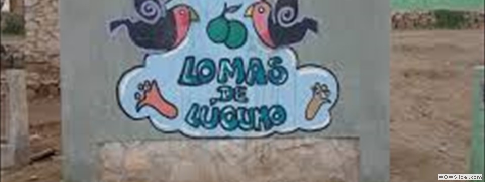 lo6