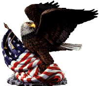 The American Bald Eagle