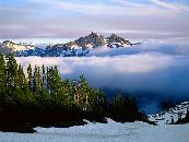 Beautiful pictures 