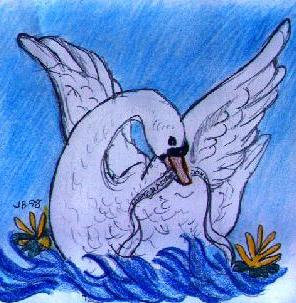 Swan