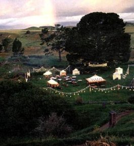 The birthday party