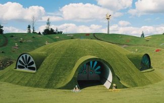 A wee green house
