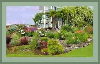 Backyard in early June. The larger whites and pinks you see are peonies. To the right are orange and pink oriental poppies.  Jupiter's Beard, both hot pink and white, came back strongly this year.