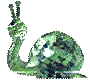 green snail