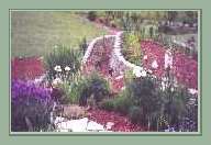 Peony Bed, Part of Herb Bed