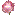 rosebit