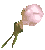 Blank
