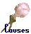 Causes