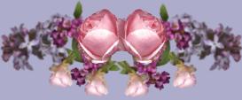 Rose 	Top