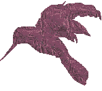 Animated Bird
