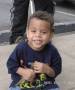 I Love Dinosaurs!