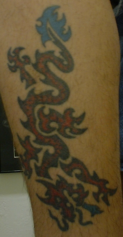 4th tattoo... got it on a whim back in 99 or 00. Hurt like a mutha.