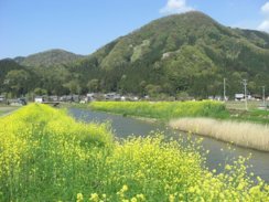 Fukui