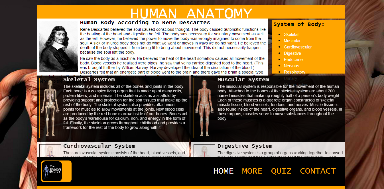 human body