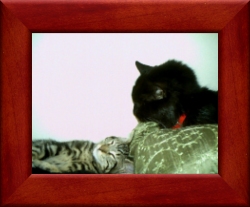 Taiko and Oscar
