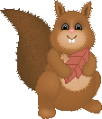 squirrel
