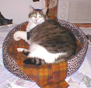 Sam