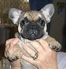 flinn1_s.gif (10585 bytes)