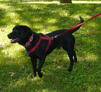 Here is Jake at Reed Park