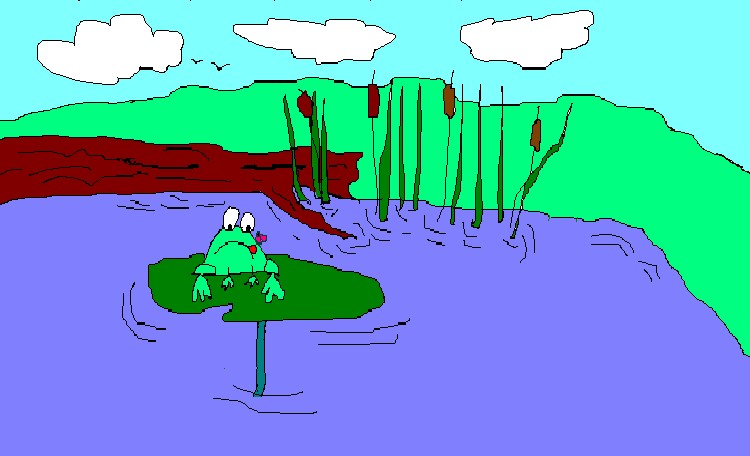 froggy in pond