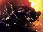 alien.jpg