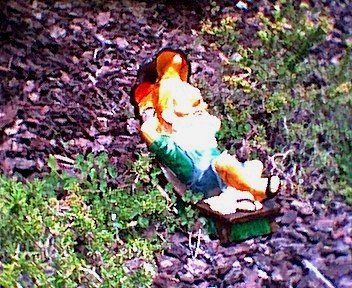 Garden Gnome