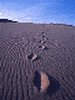 sandsteps