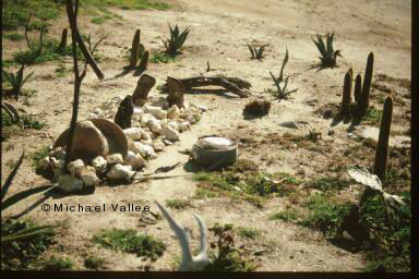 
 Decayed Dead Man
 Facing in S'ly. direction 
