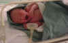 10mins_old.jpg (92004 bytes)