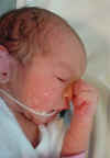12 hours old1.jpg (136854 bytes)