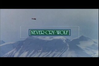 Never Cry Wolf